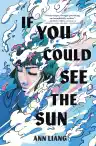 Cover of If You Could See the Sun